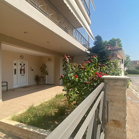 Cozy & Quiet City Apartment Trikala  Ngoại thất bức ảnh