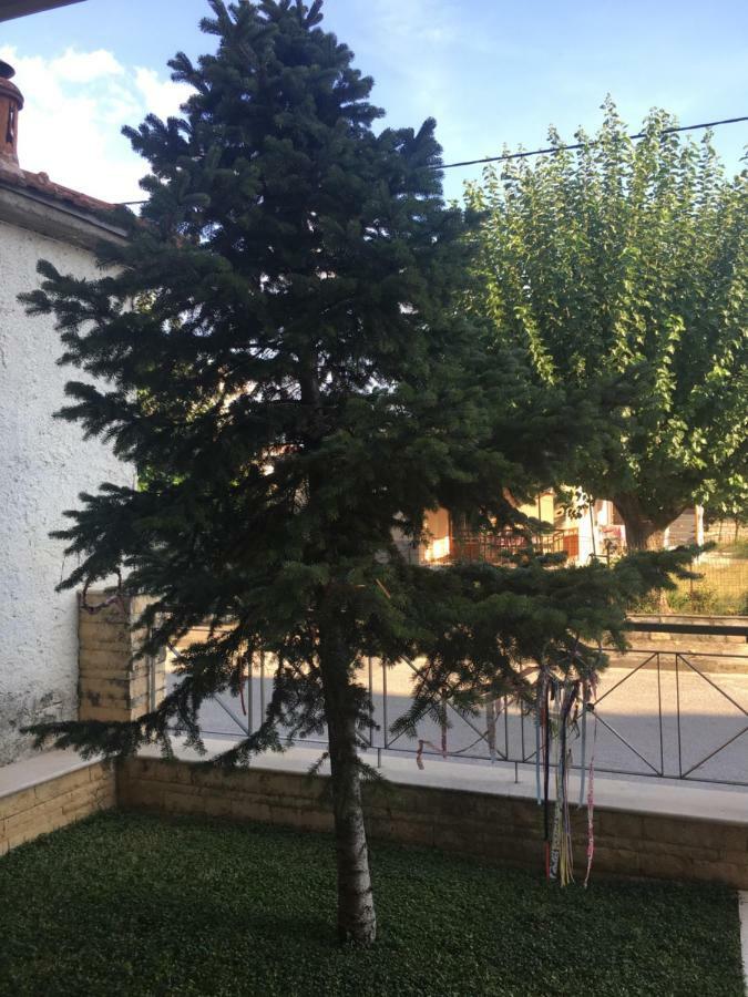 Cozy & Quiet City Apartment Trikala  Ngoại thất bức ảnh